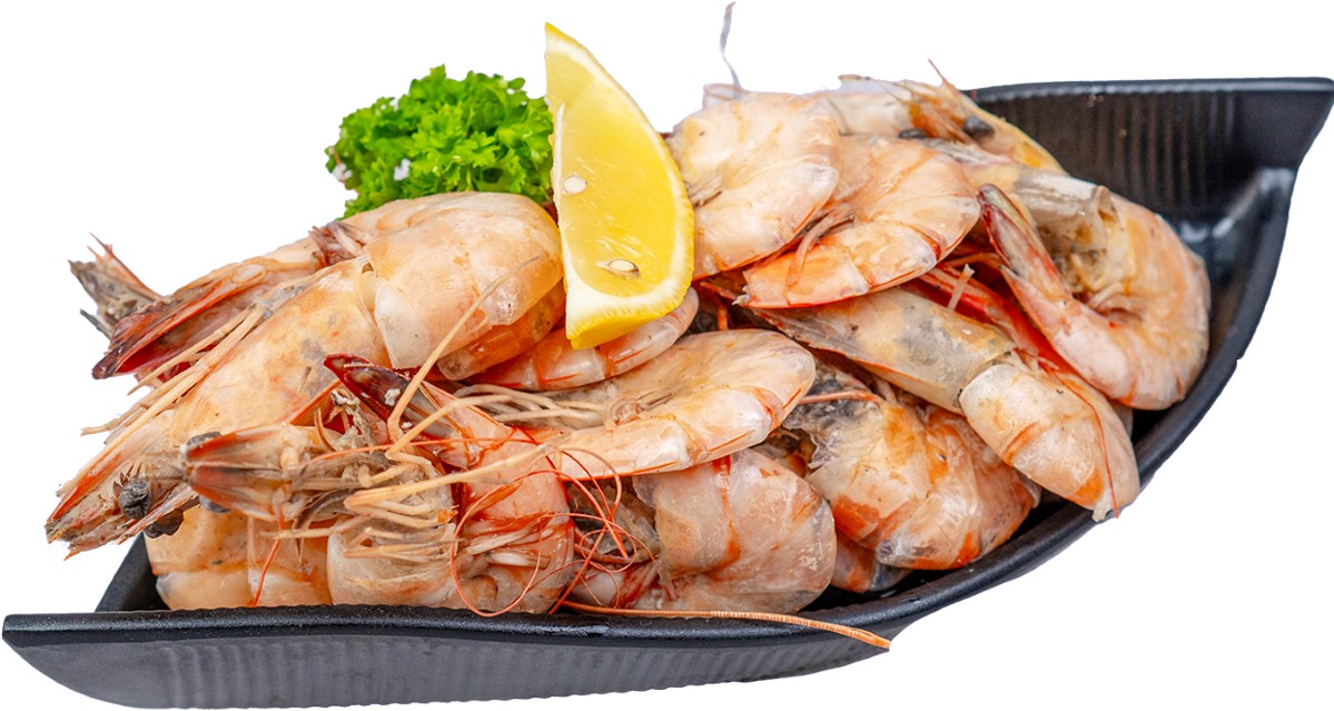 Shrimp Udang